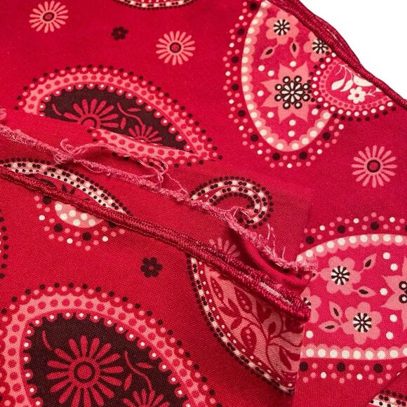 Vera Bradley Mesa Red Set 6 Quilted Placemats and 9 Napkins Paisley Print - Picture 8 of 10